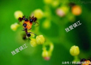 高手速成：九宫格的5种构图技巧，细致、实用、易学！