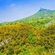 特产代言丨镇江新区大路镇：春笋正当季，圌山脚下的春天味道