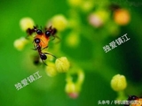高手速成：九宫格的5种构图技巧，细致、实用、易学！