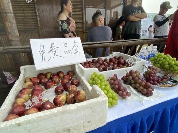 小气候，大果肉！一年一度的无花果节来了-10.jpg