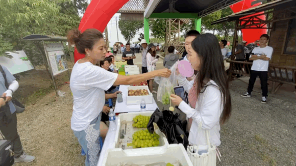 小气候，大果肉！一年一度的无花果节来了-16.jpg